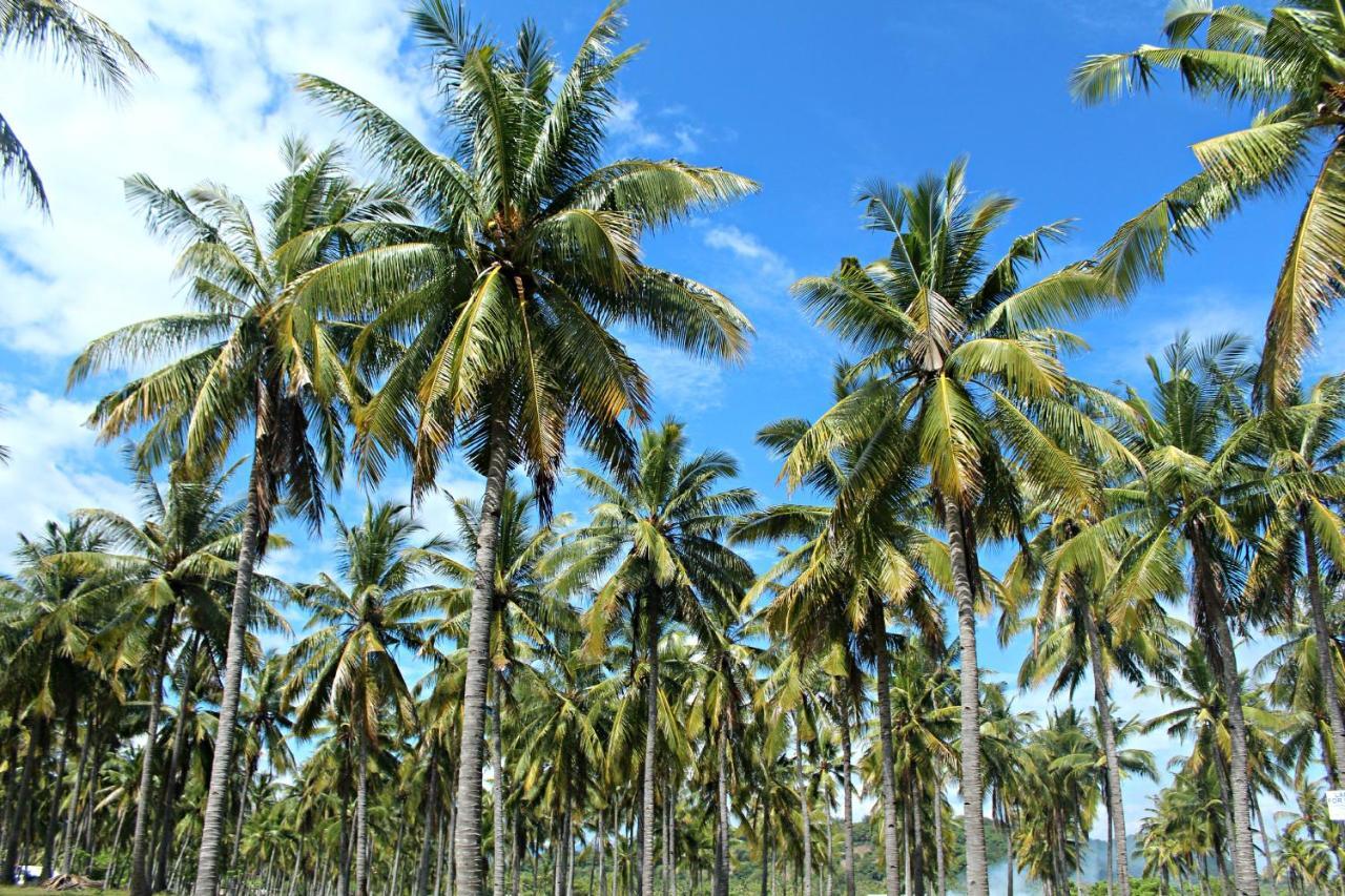 Wisma Bunda 2 Gili Trawangan Exterior photo
